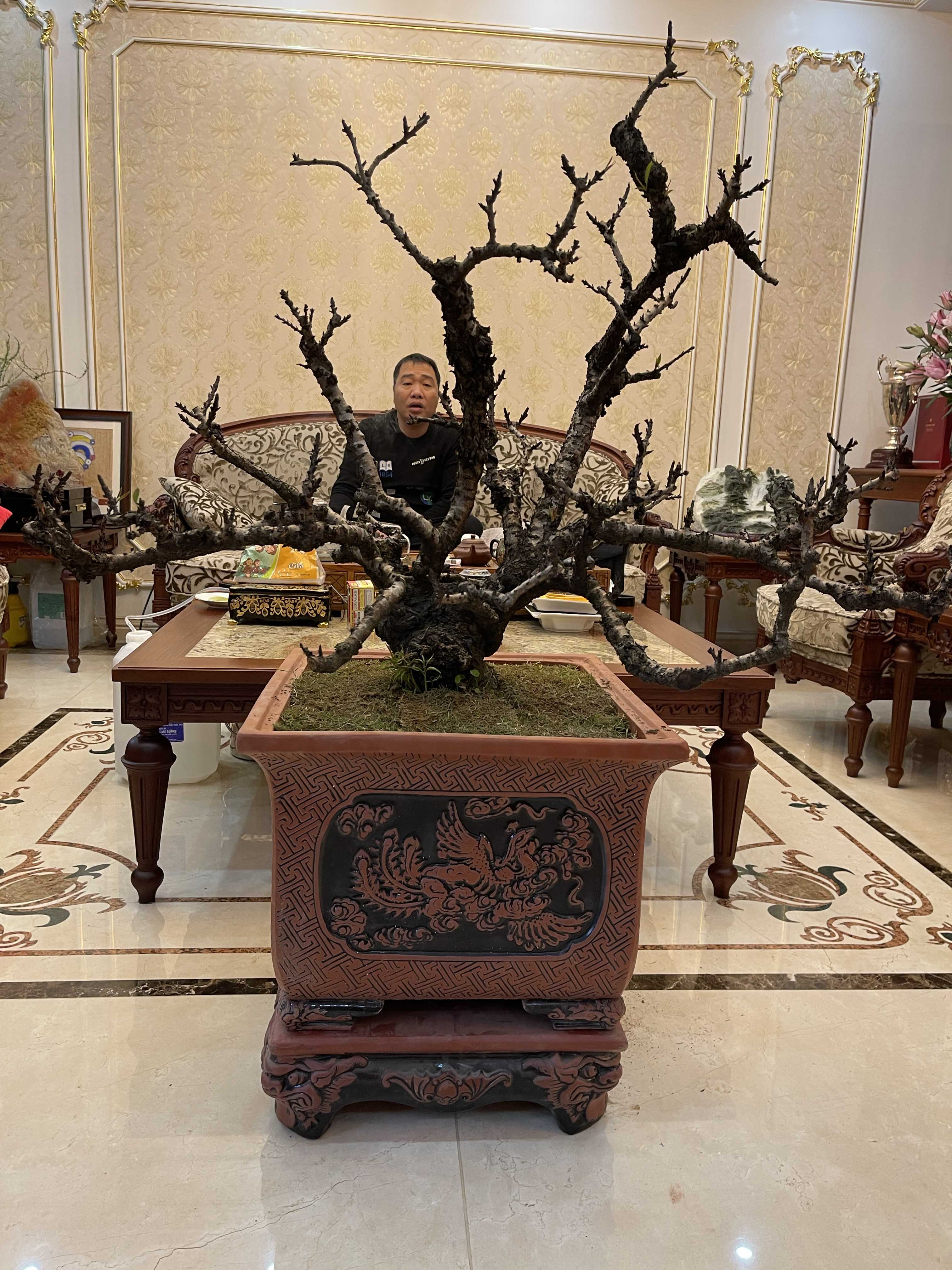 Đào thất thốn 41