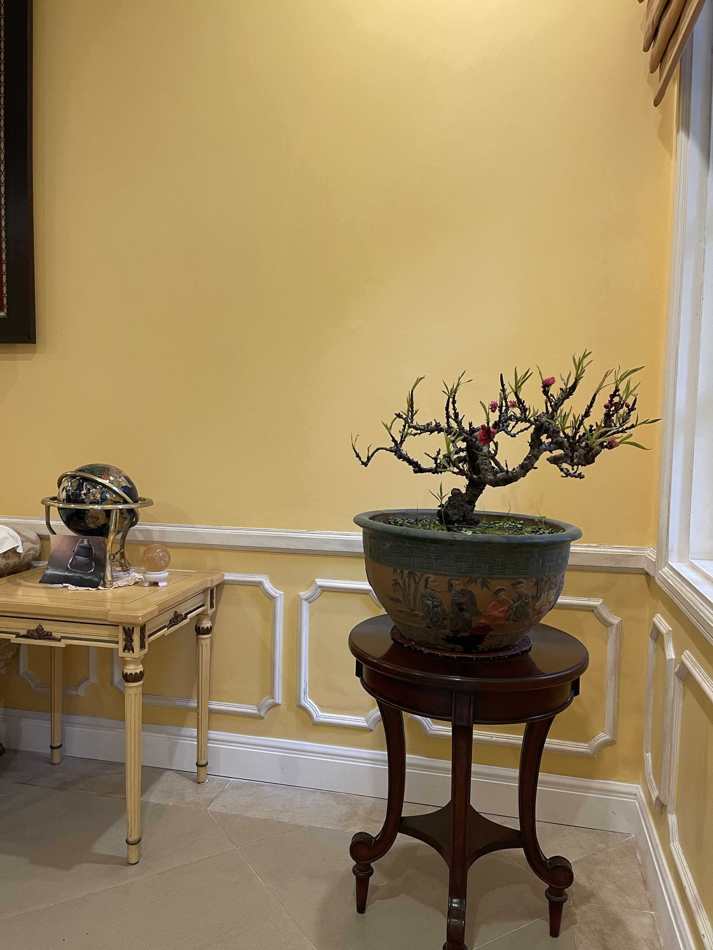 Đào thất thốn 44